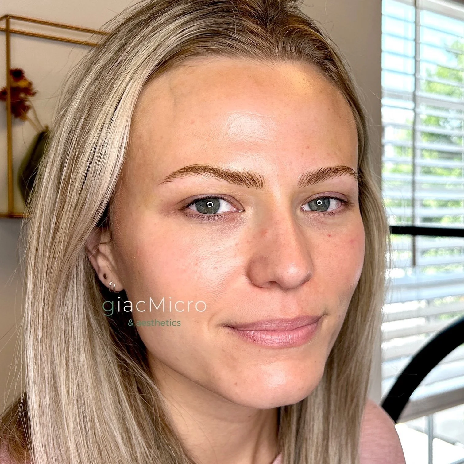 Nano Brows at Giacmicro in Greenville, SC — GiacMicro