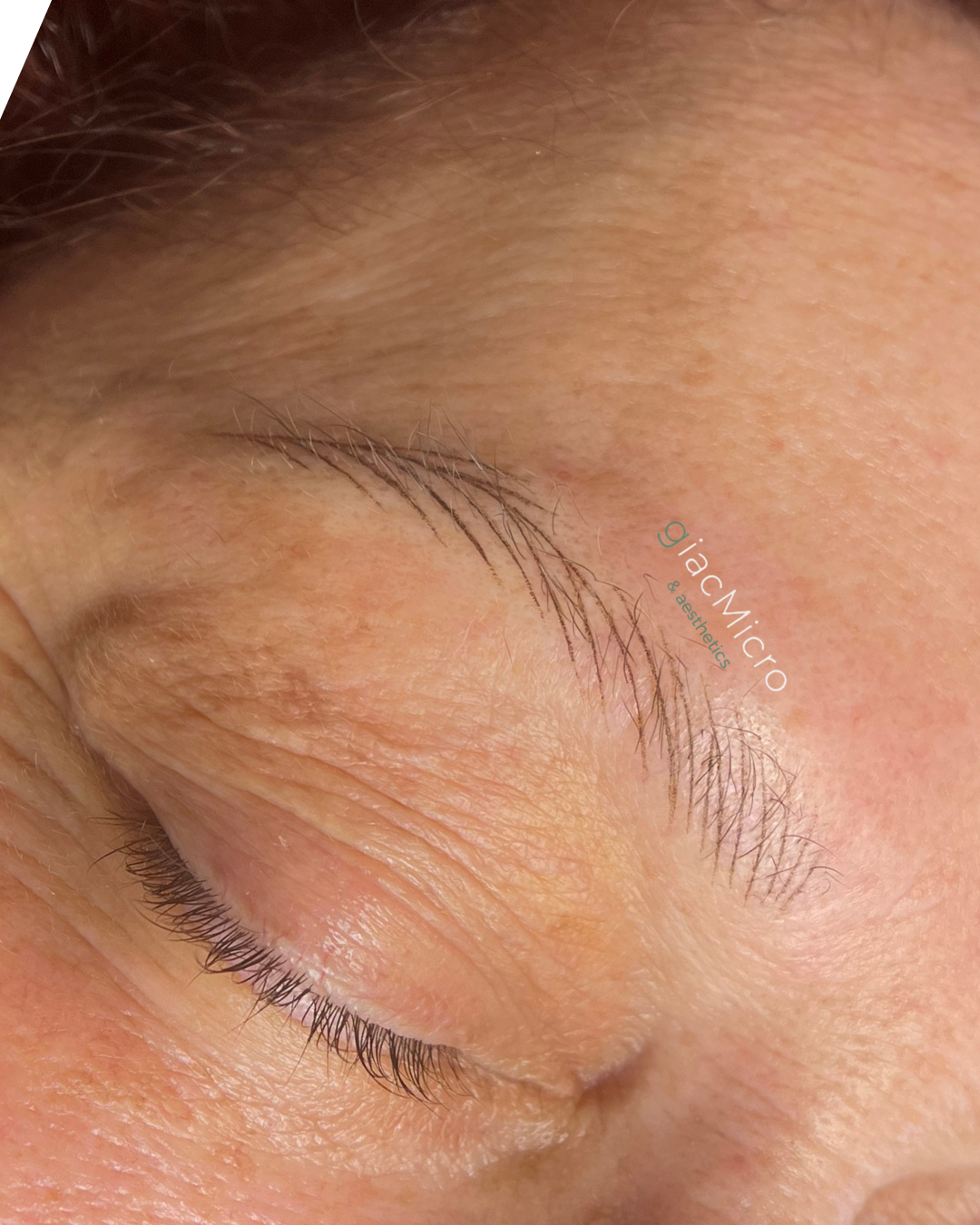 Untitled design (19).png