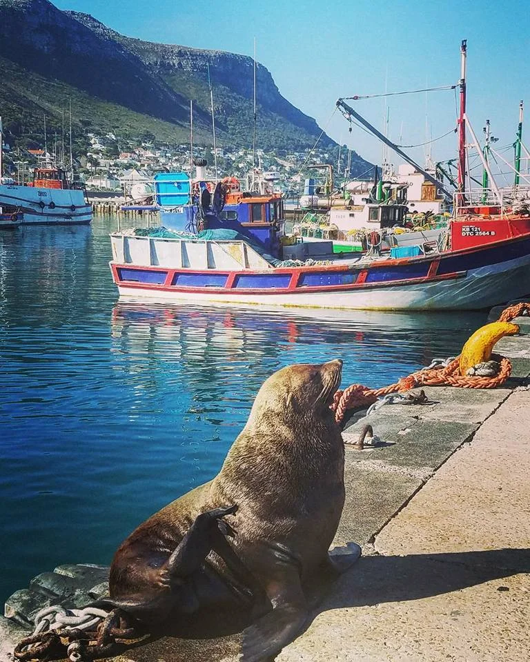 Capetown, South Africa 