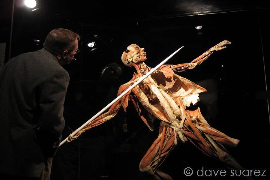 Bodies: The Exhibition