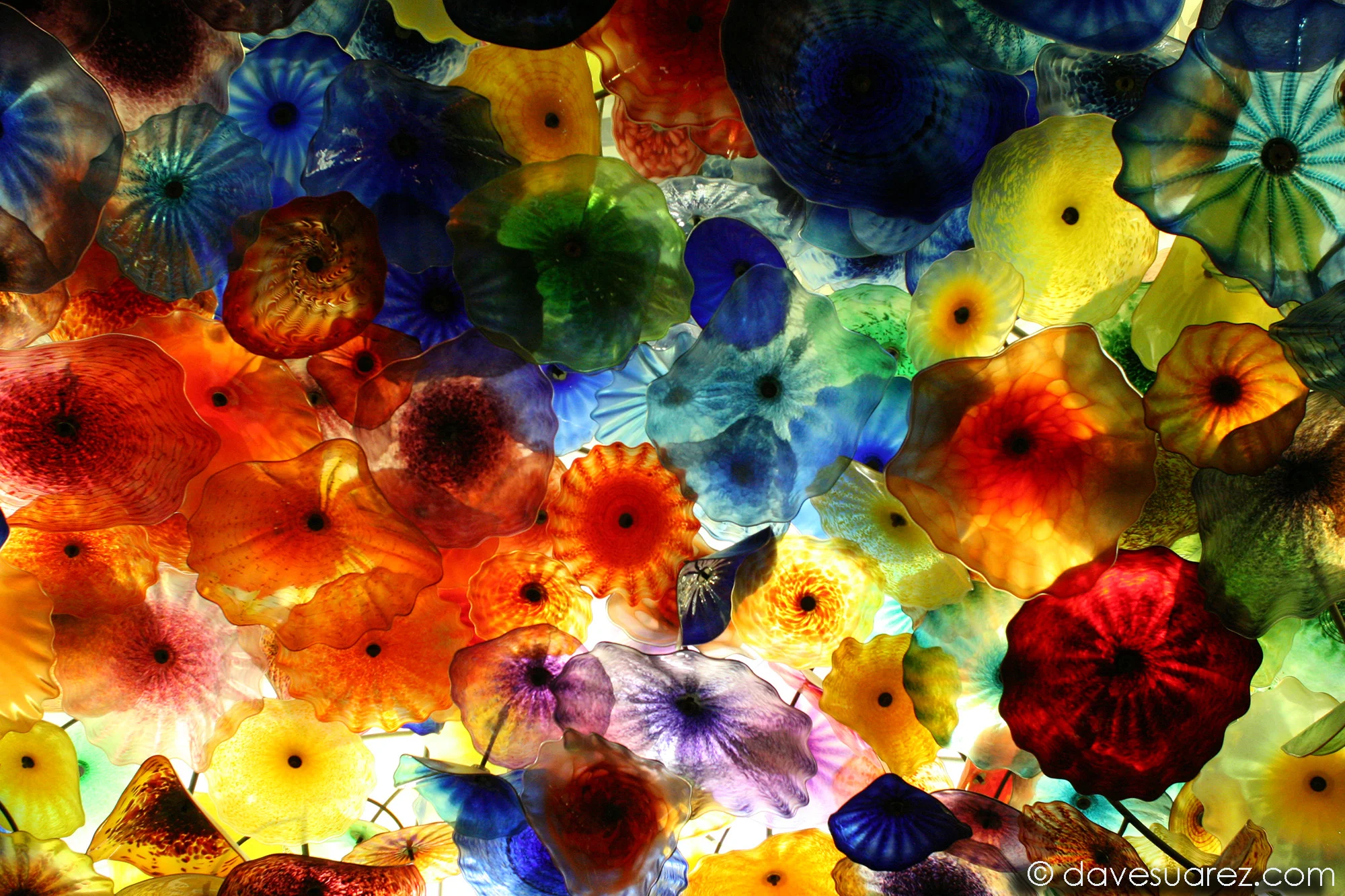 Chihuly Glass Sculpture at Bellagio