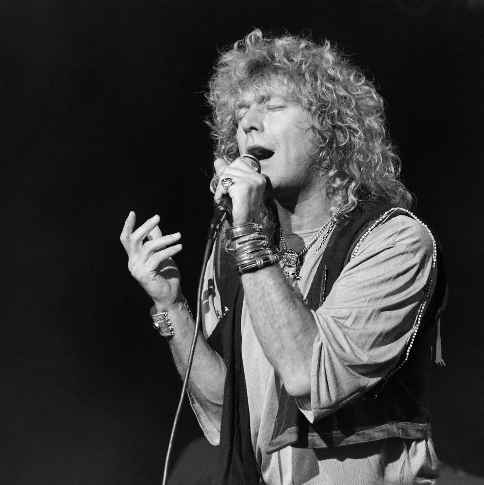 RobertPlant_13x13_Showprint.jpg
