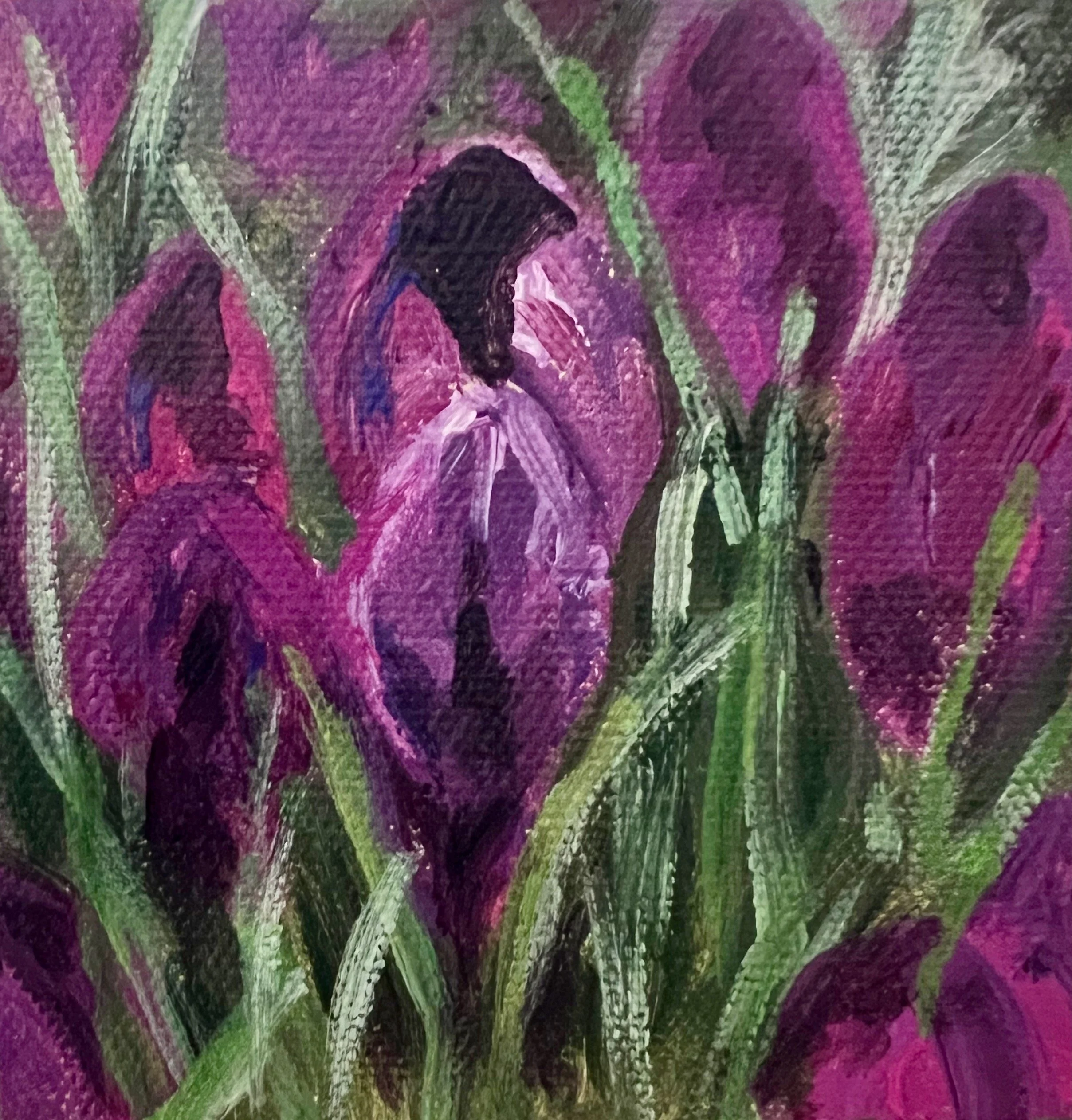 Springtime in the Rockies