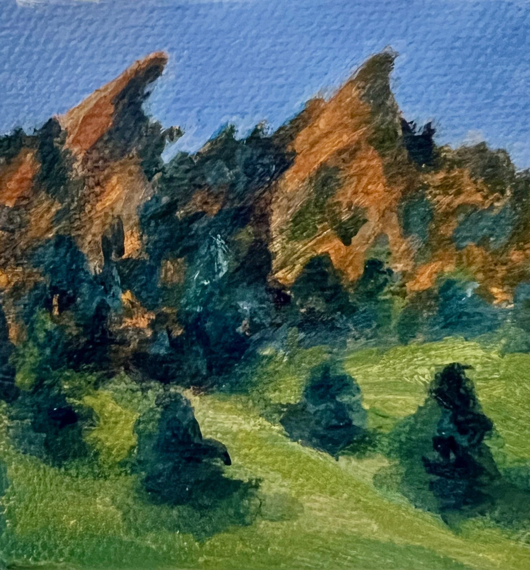 Colorado Bluebird Day