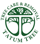 tatumtree-logo.png