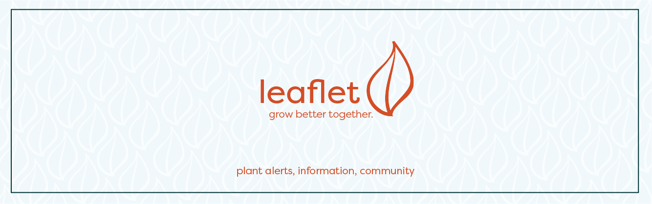 leaflet-banner-02.png