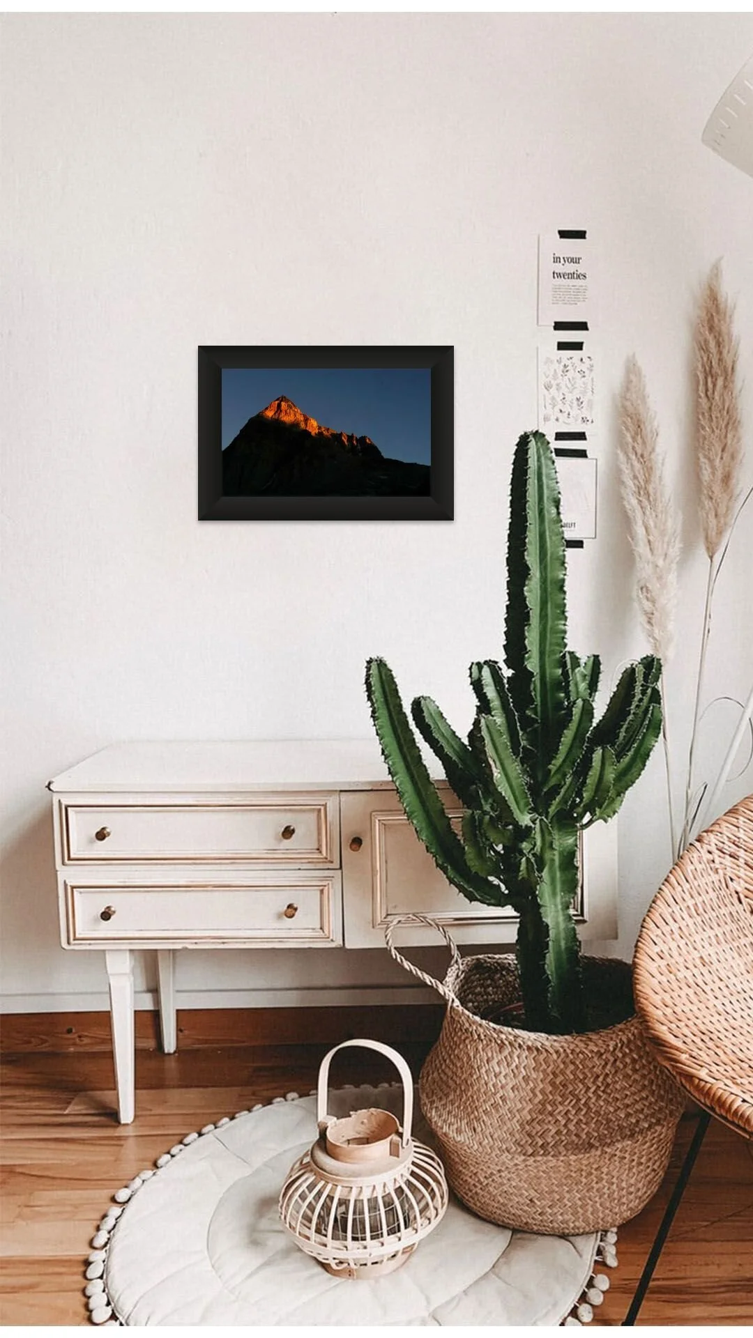 painted_lady (1).jpg