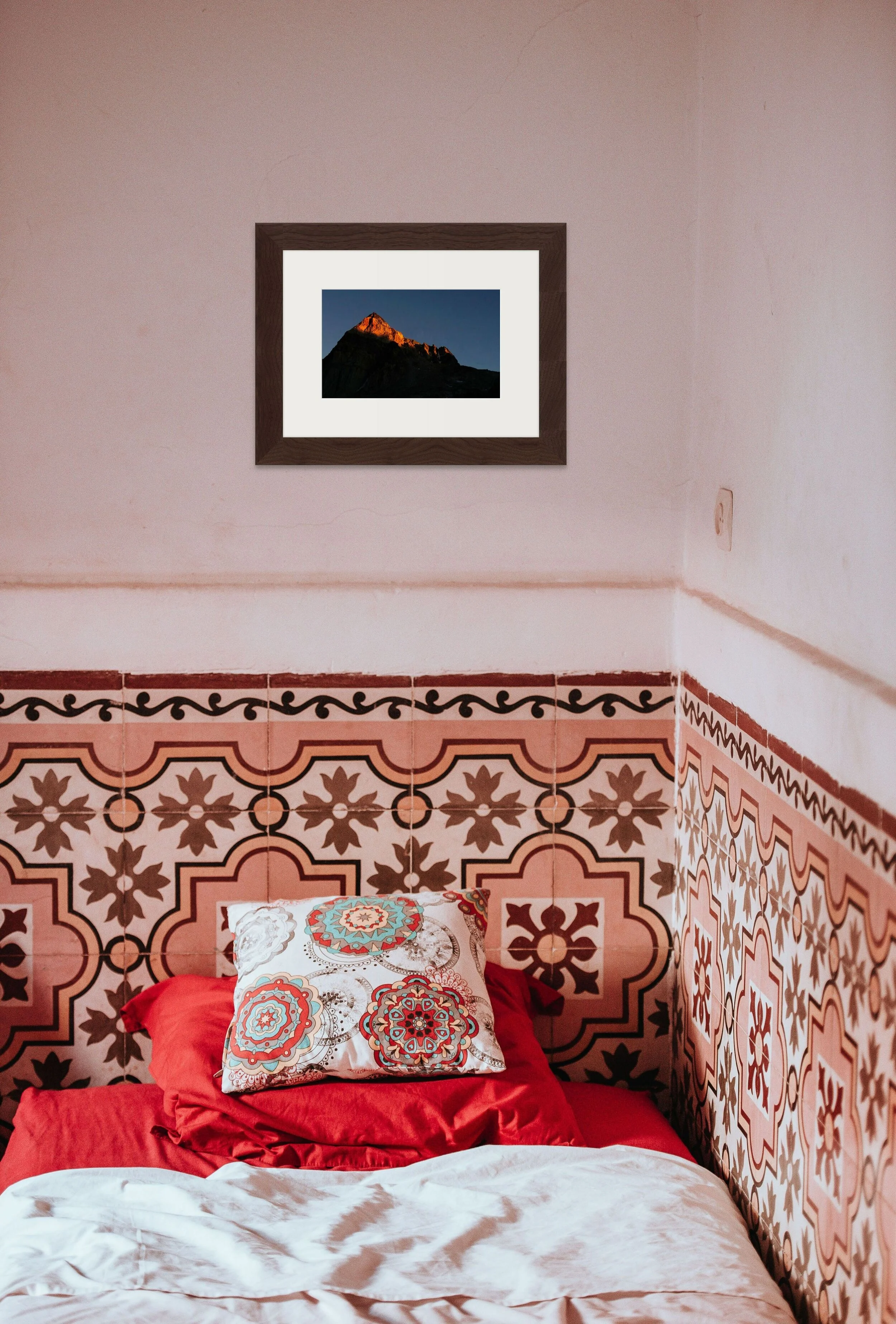 painted_lady (2).jpg