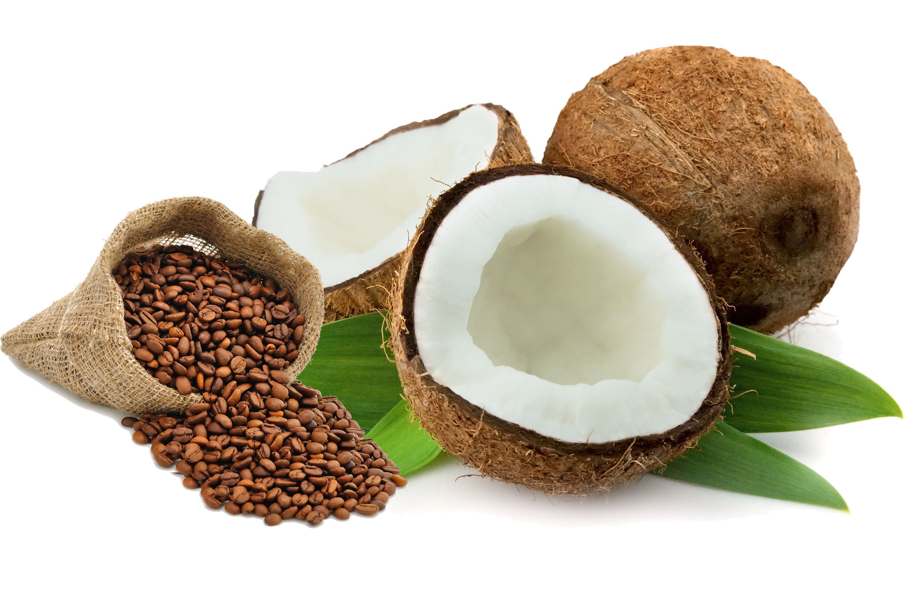 Coconut-Cream.jpg