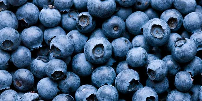 blueberry.jpg