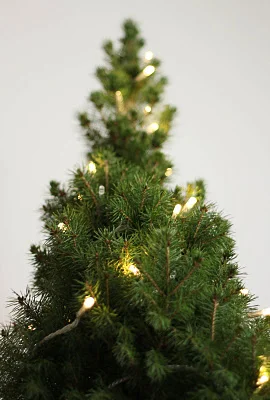 Oh Hi There December