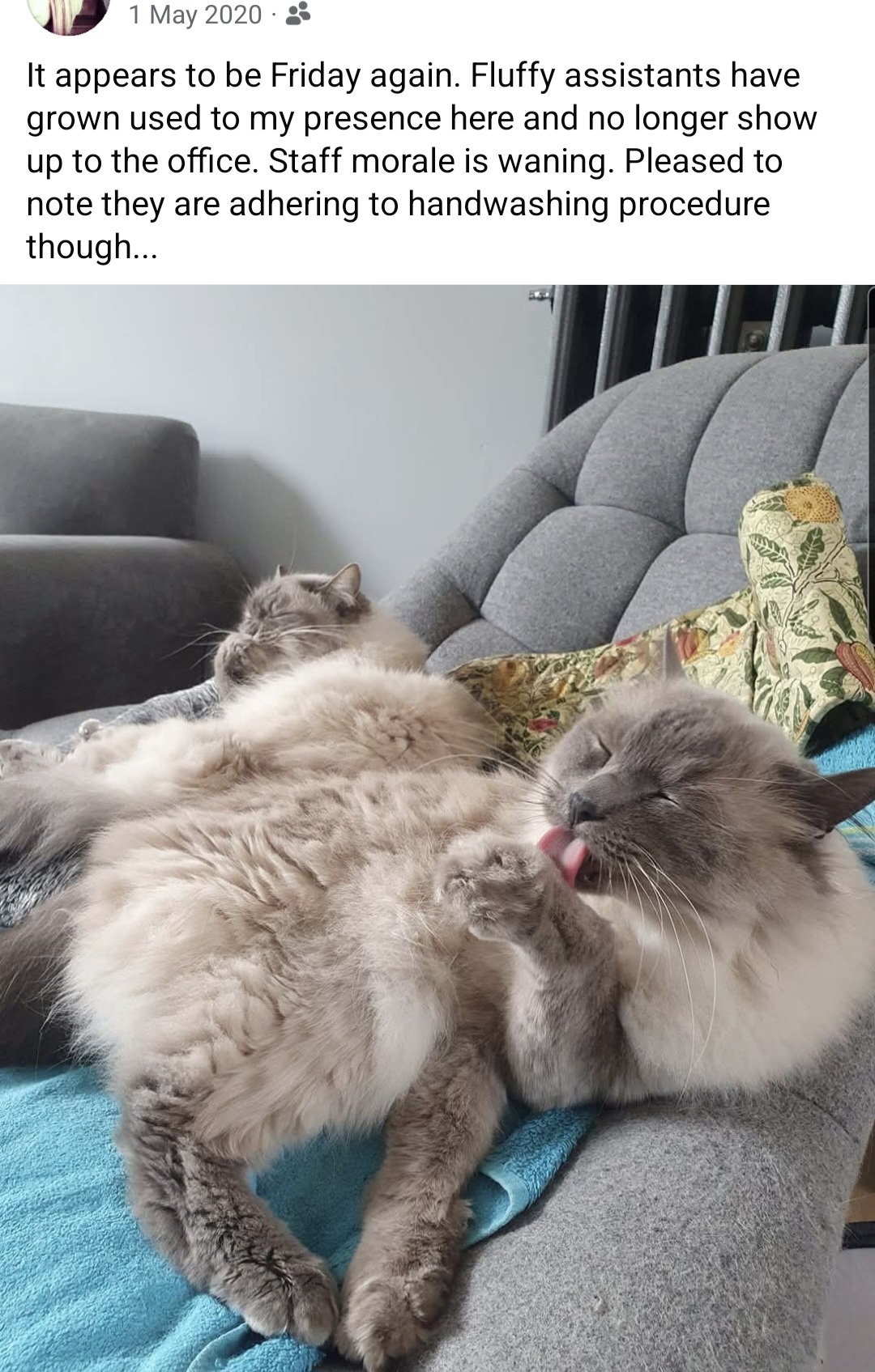 Screenshot_20251022_094546_Facebook.jpg