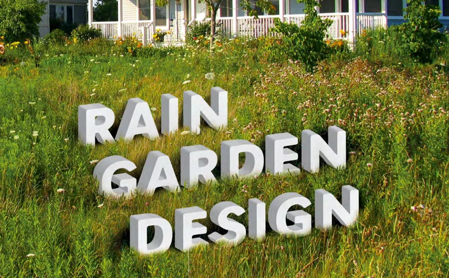 rain-garden-1.jpg
