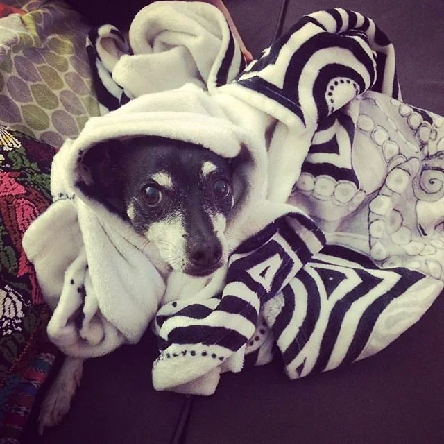 🎨 EAST has been a blast so far!  We&rsquo;ve got one more weekend but we&rsquo;re also doing this very special happy hour tonight at Canopy for those wanting to skip the crowds❣️ (I totally get it!!!! ❤️) 🥂 It&rsquo;s 6-8pm and most of us will be t