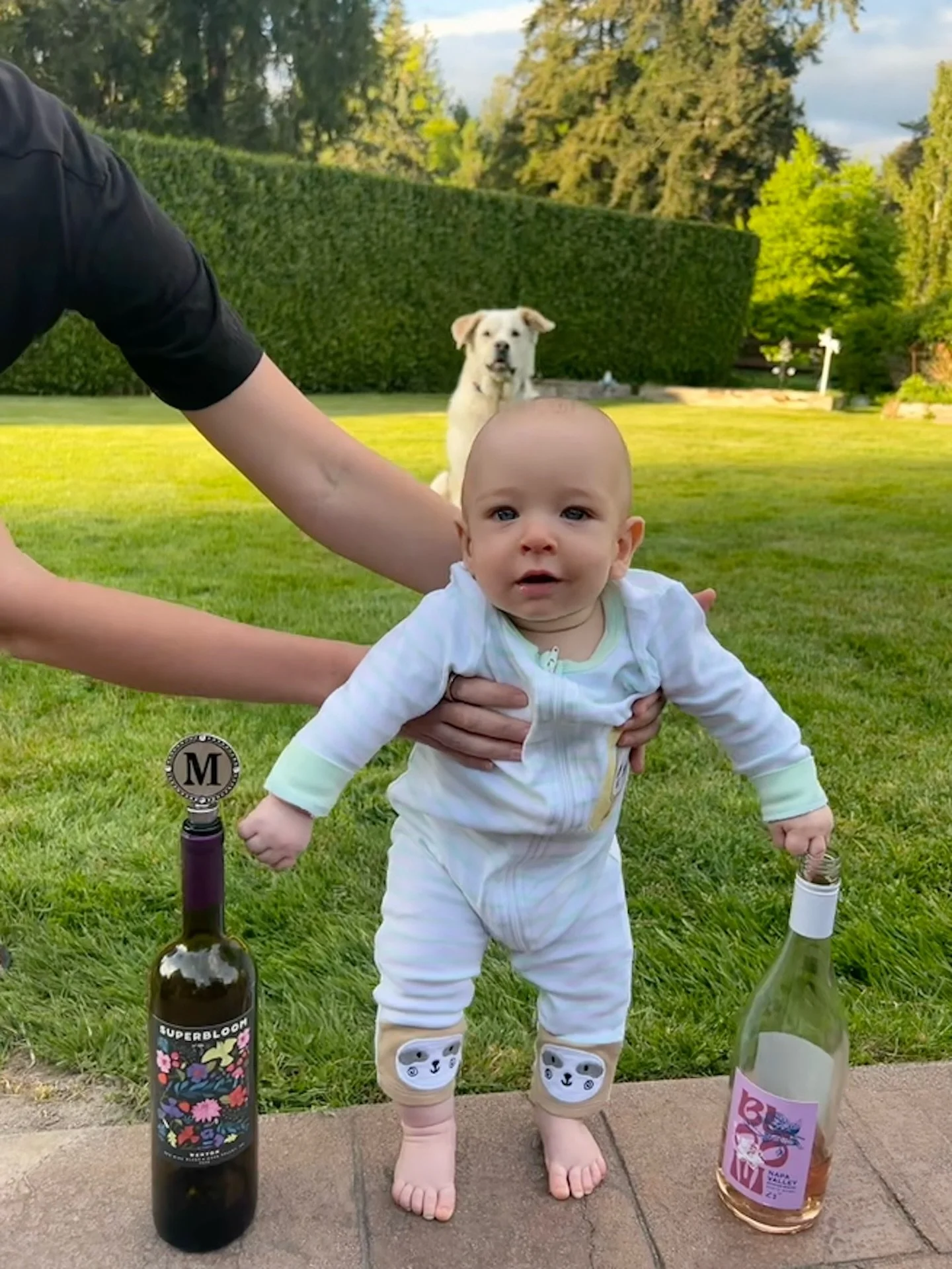 We&rsquo;re 3 weeks away! Grab your crew, your wine kit, and some new KM gear - we&rsquo;ll see you soon! 🍷