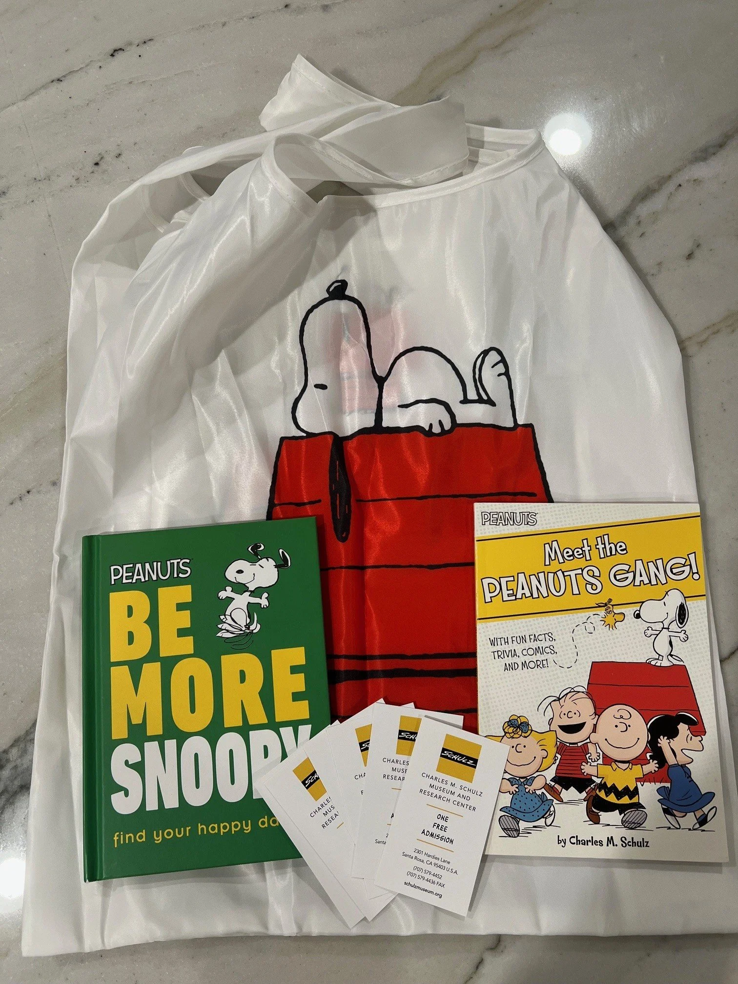 Snoopy museum tickets.jpg