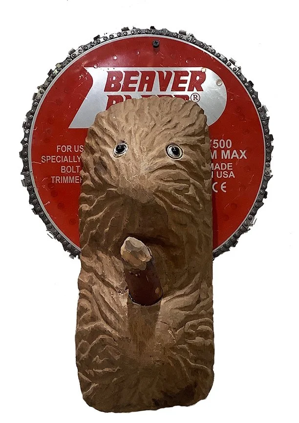 wadzinski beaver.jpg