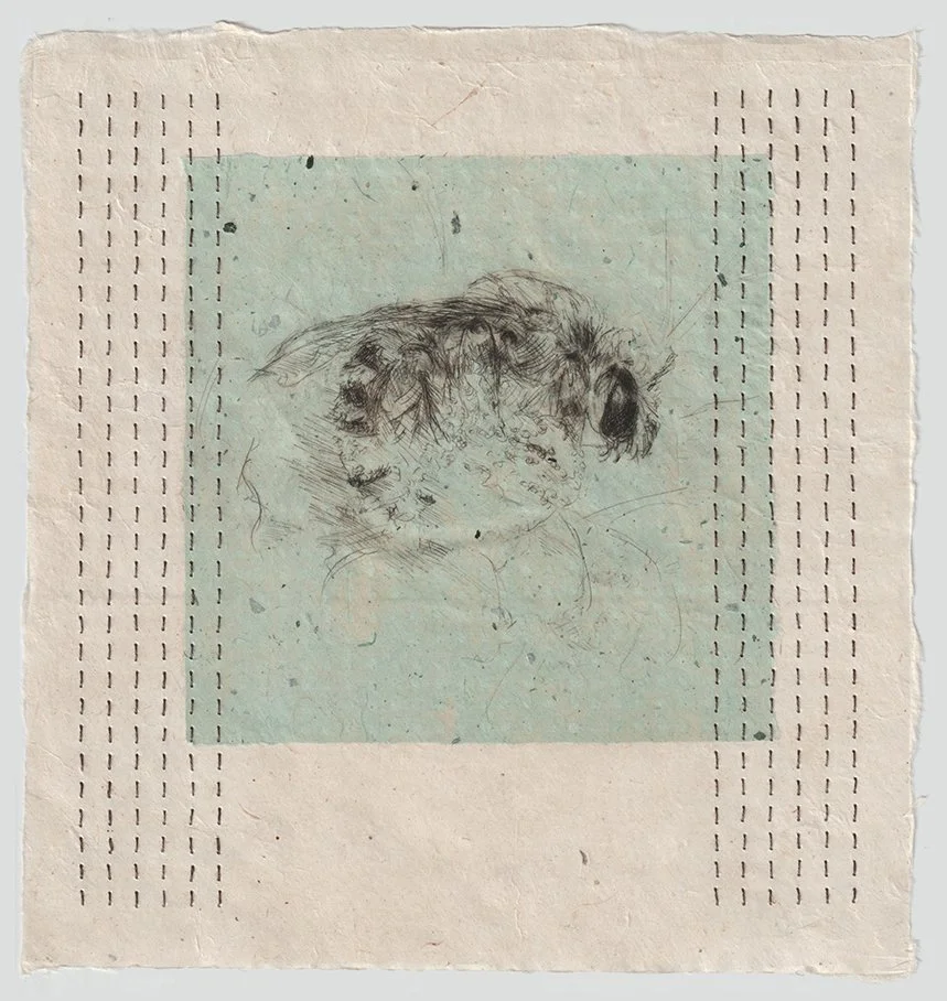  “Specimen, 14×13, etching, running stitches on handmade paper, $495 