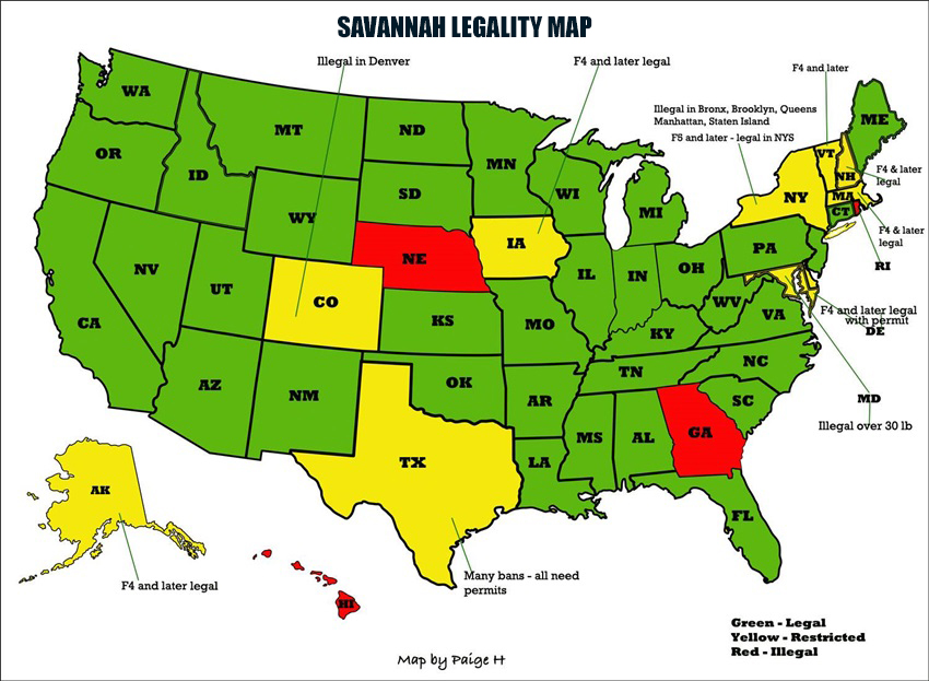 Savannah Size Chart