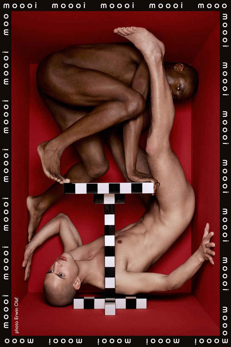 moooi_insidethebox_by_marcel1_xl.gif