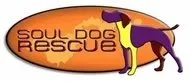 Soul Dog Rescue Adoption Event 