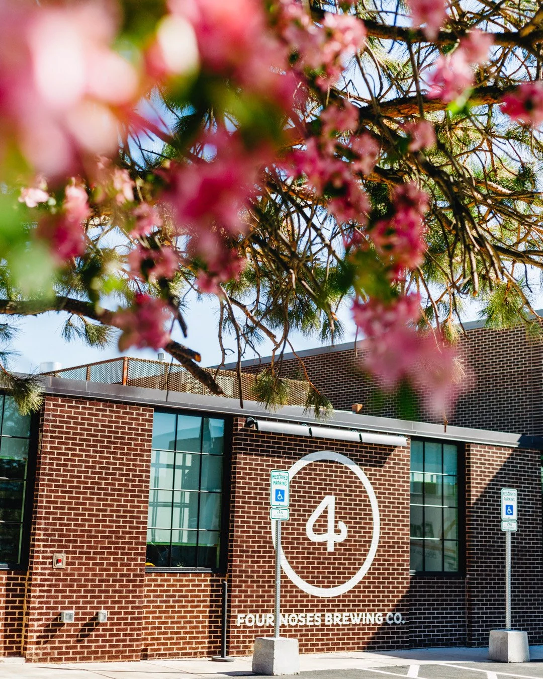 The craft beer world is changing. What hasn’t changed is our commitment to creating a space that celebrates quality beer, connection, and community.
4 Noses has always been about more than what’s in the glass. It’s about meeting