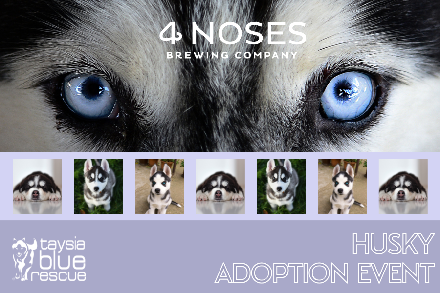 Taysia Blue Rescue Event
