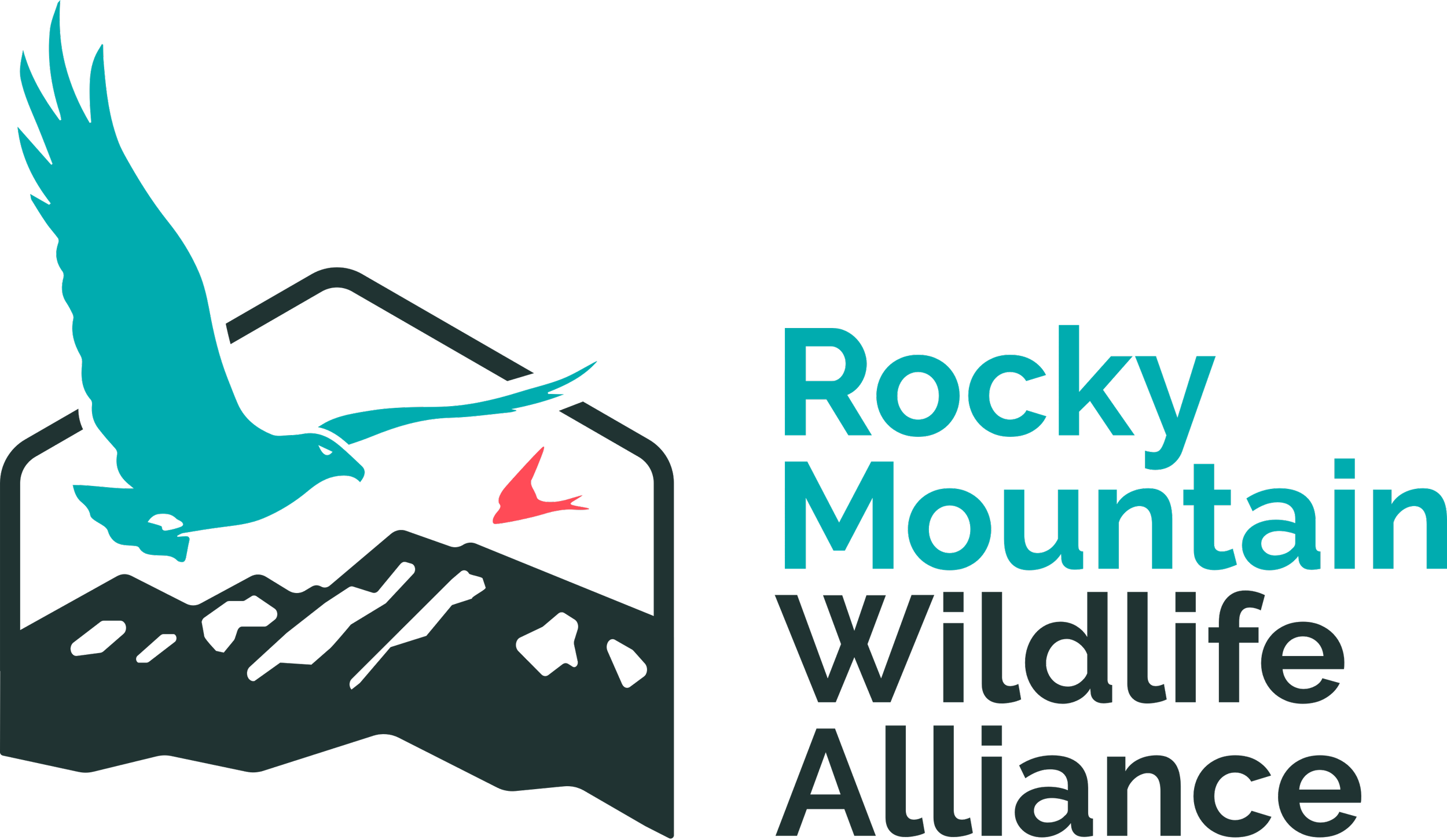 Wildlife Animal Fun