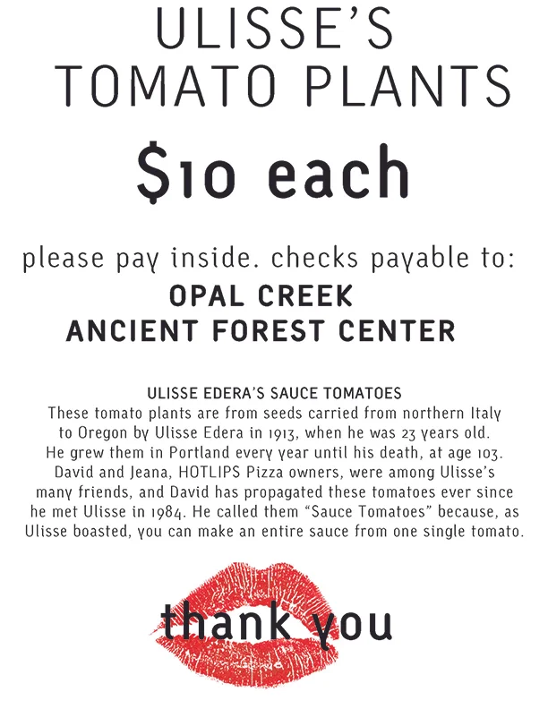 tomato-sale-1.jpg