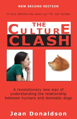 the culture clash.jpg
