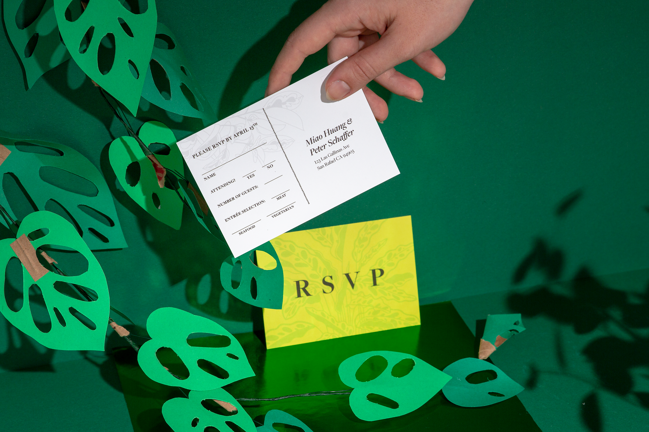 Ficus-RSVP-1.png