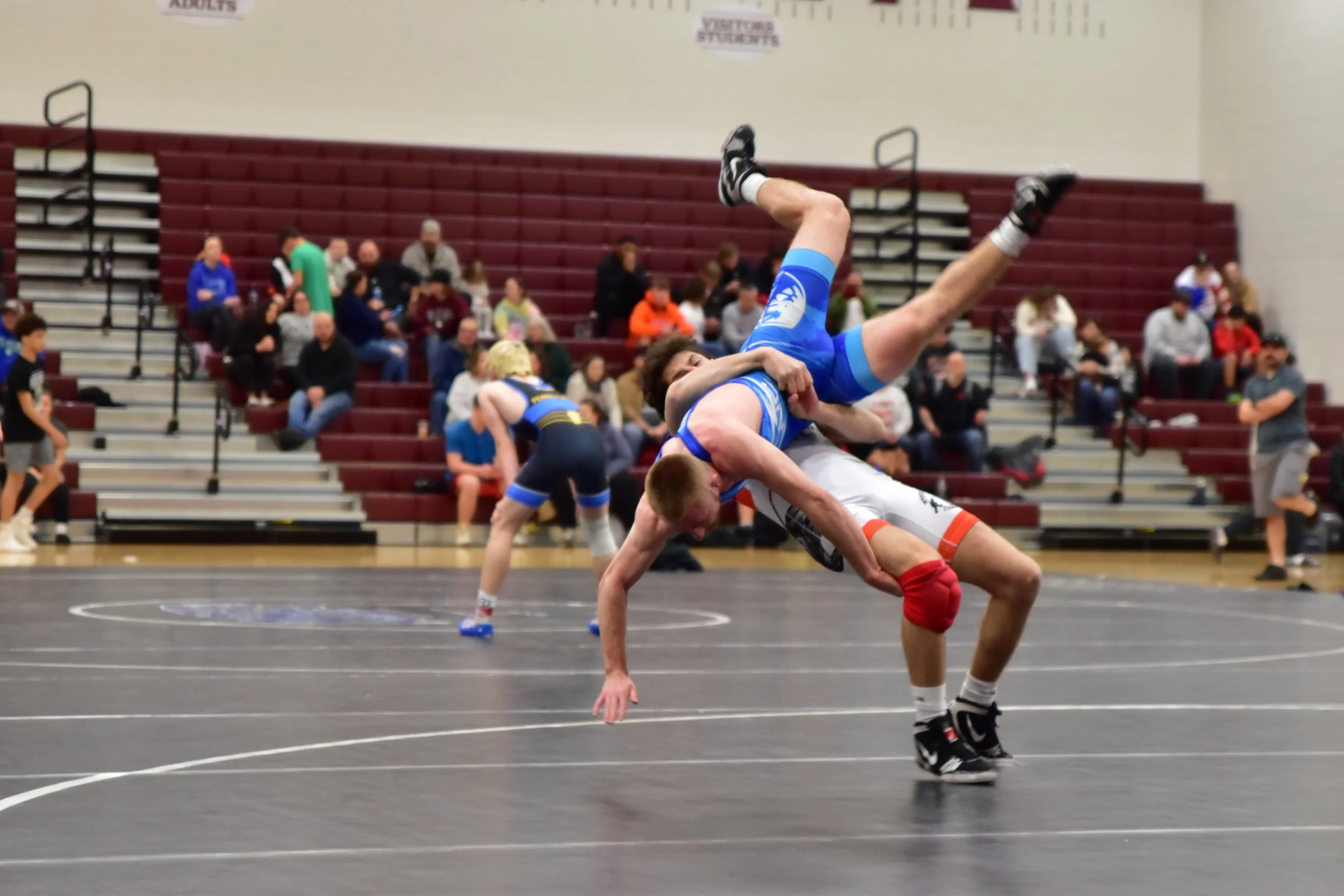 DSC_0058 - Copy.jpeg