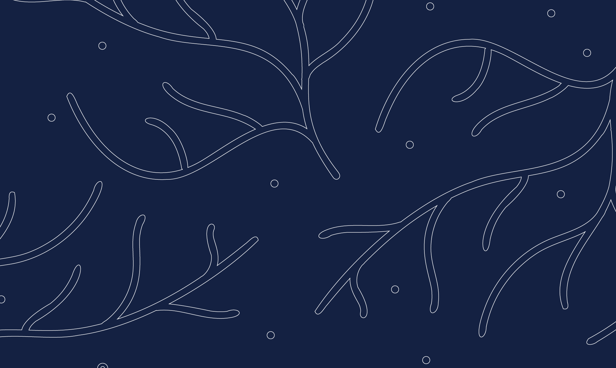 Pattern 3 - White on Dark Blue@2000x.png