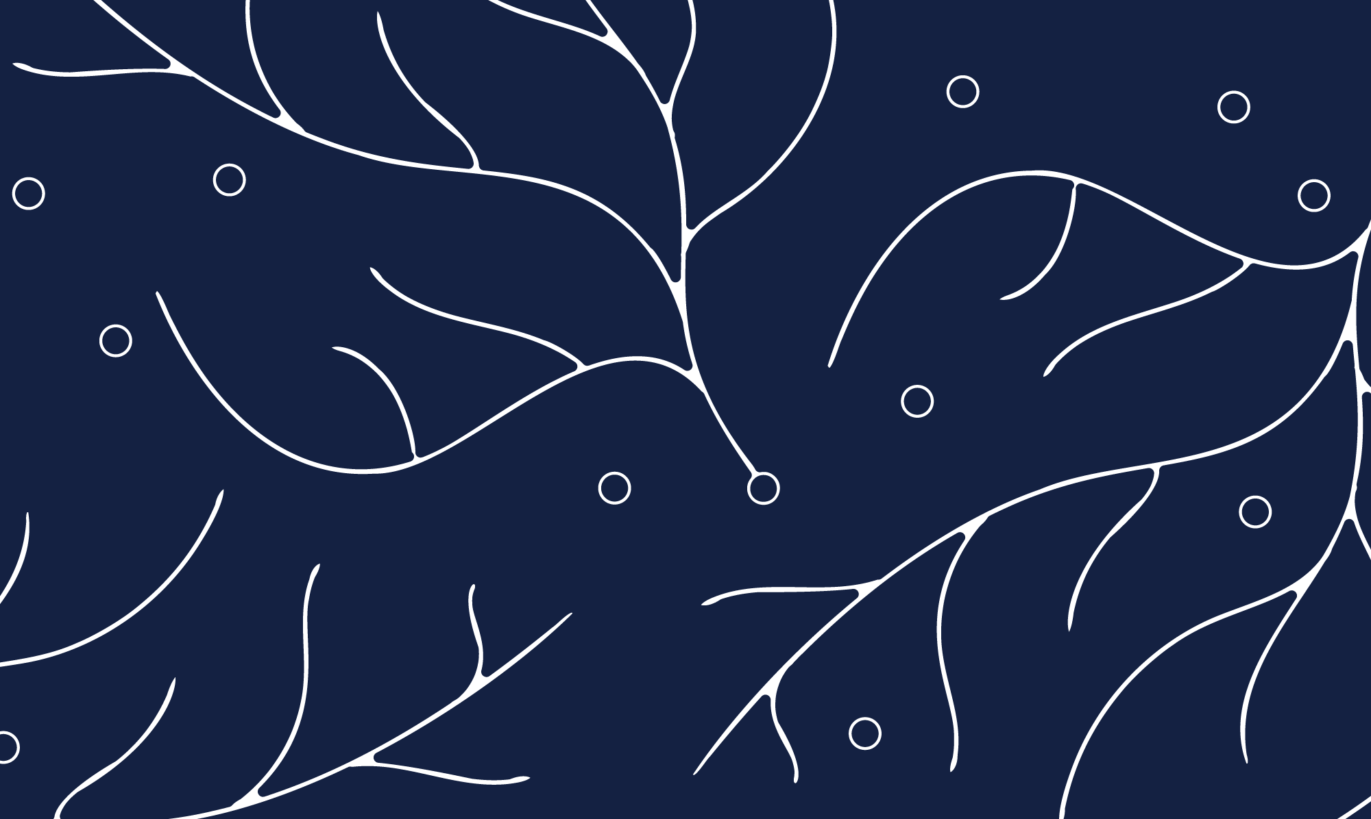 Pattern 5 - White on Dark Blue@2000x.png