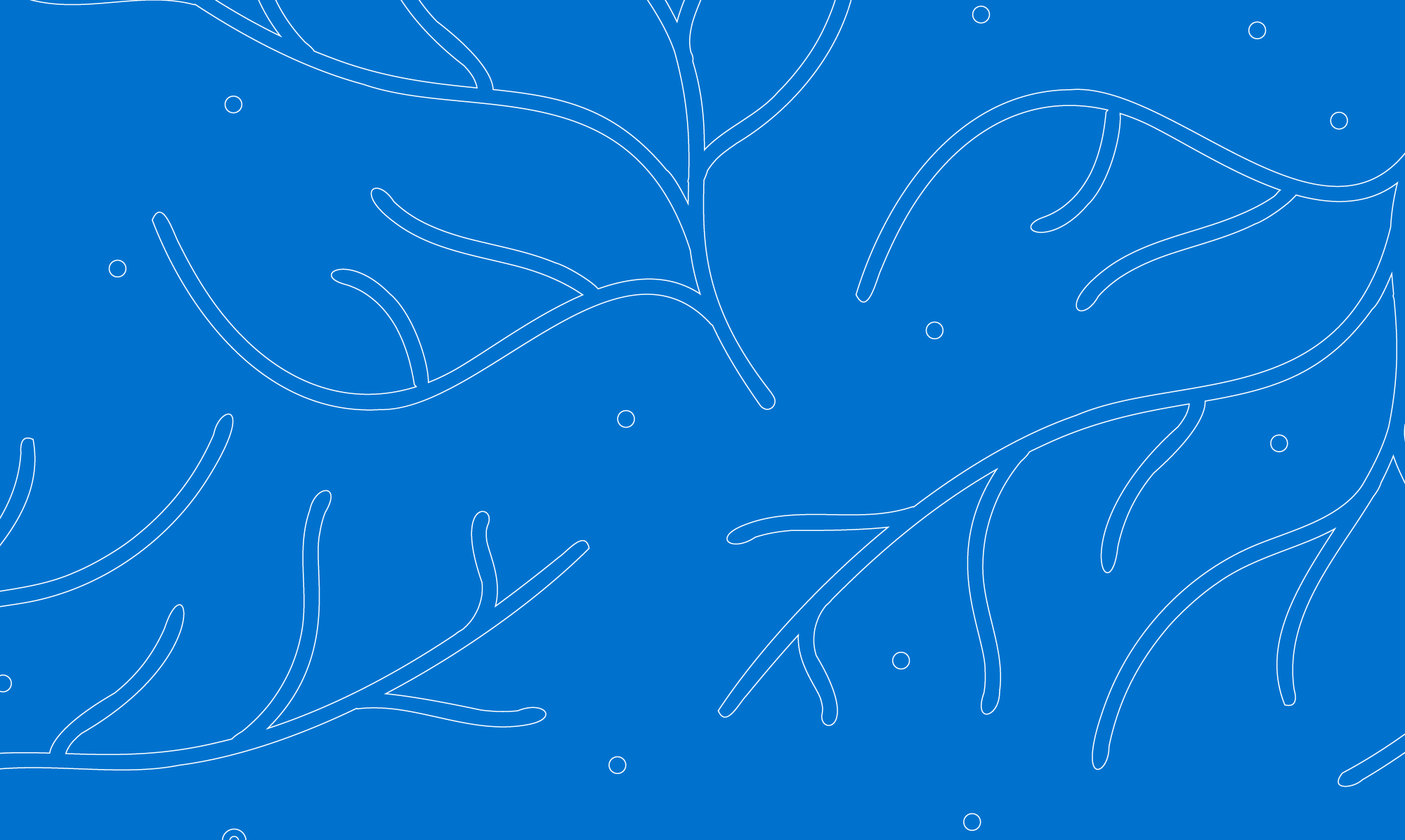 Pattern 3 - White on Blue@2000x.png