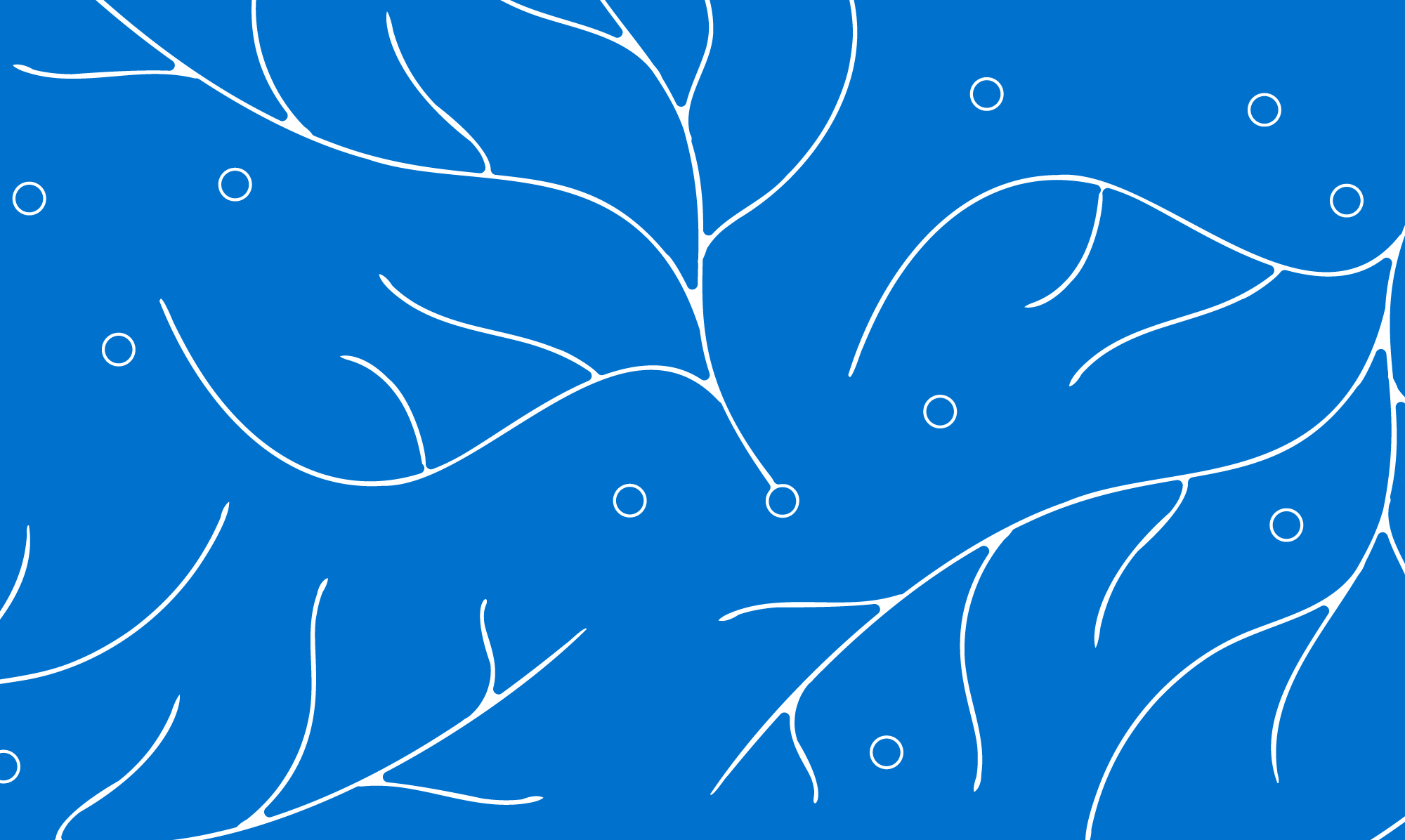 Pattern 5 - White on Blue@2000x.png
