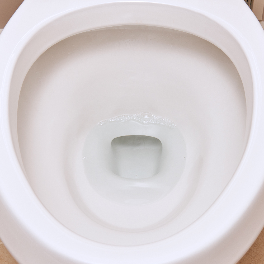 SnoBol Extra Strength Liquid Toilet Bowl Cleaner - UnoClean
