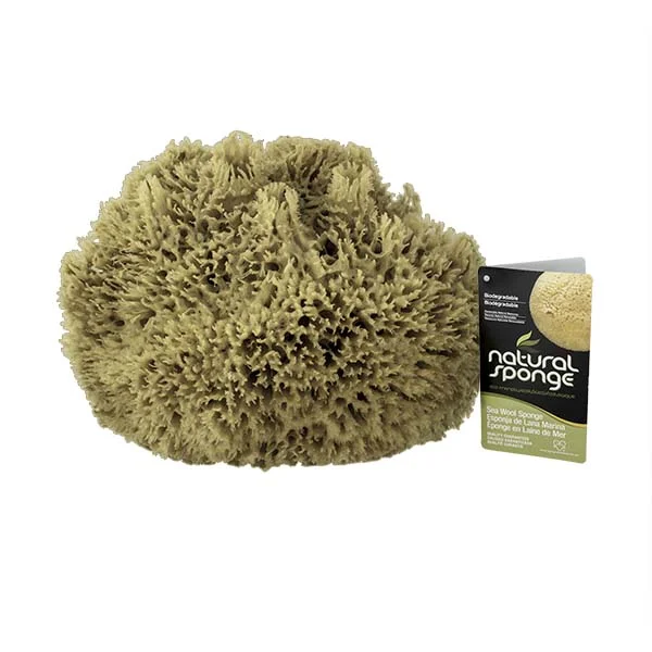 #1 Global Distributor of Natural Sponges