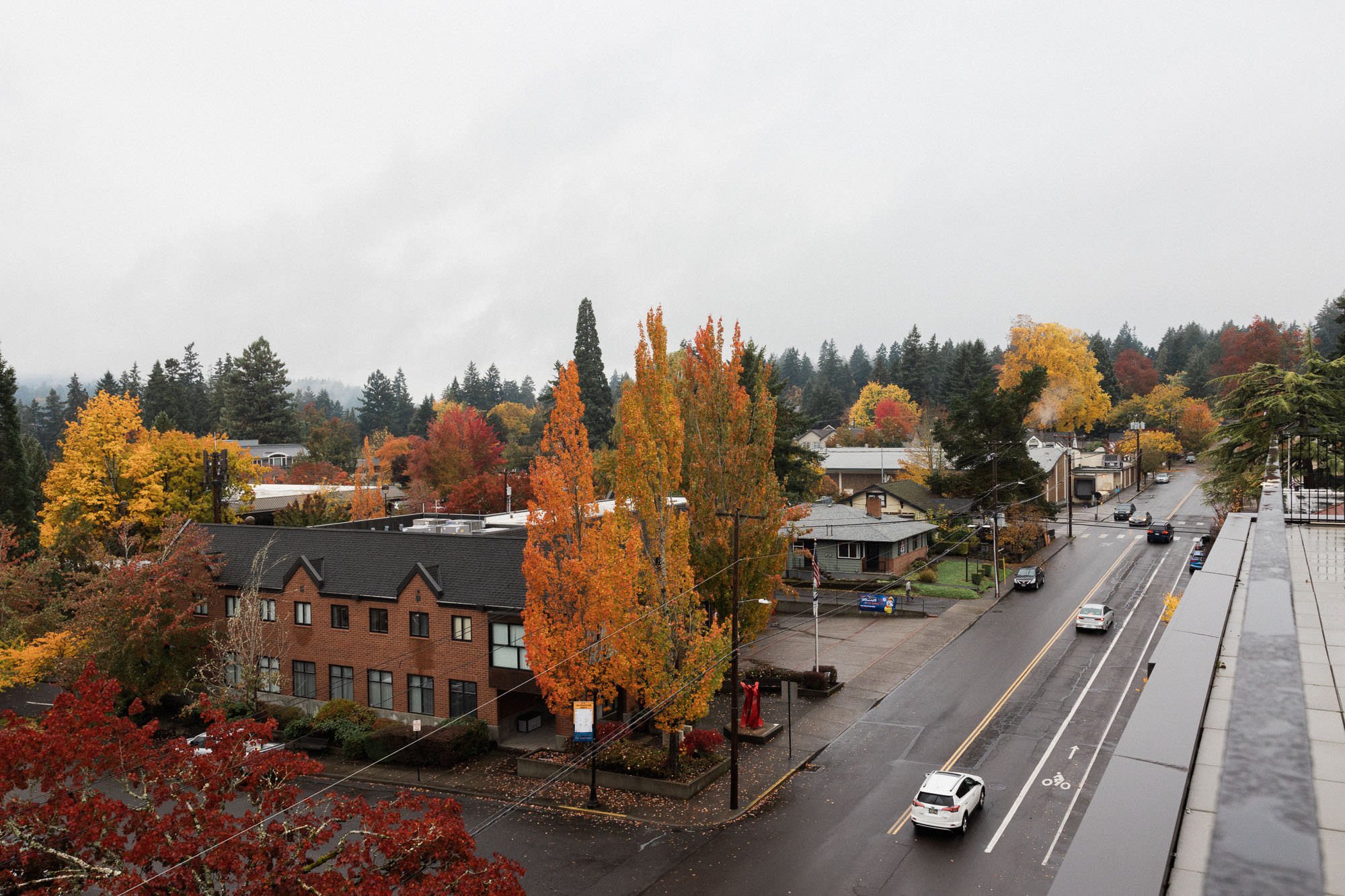 view of street during rainy fall day at ironlight wedding venue in lake oswego, oregon