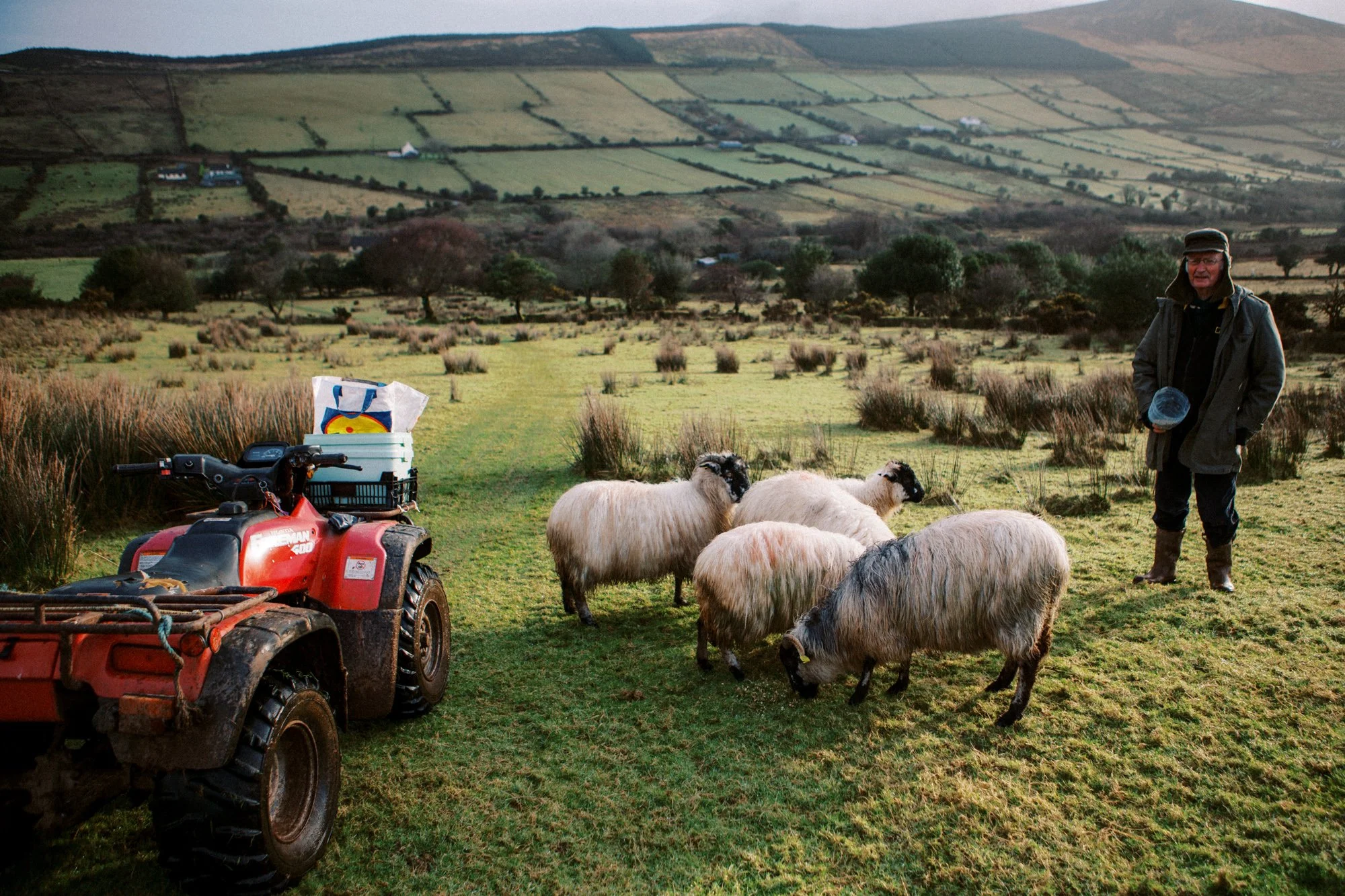 Ireland Sheep Farm-11.jpg