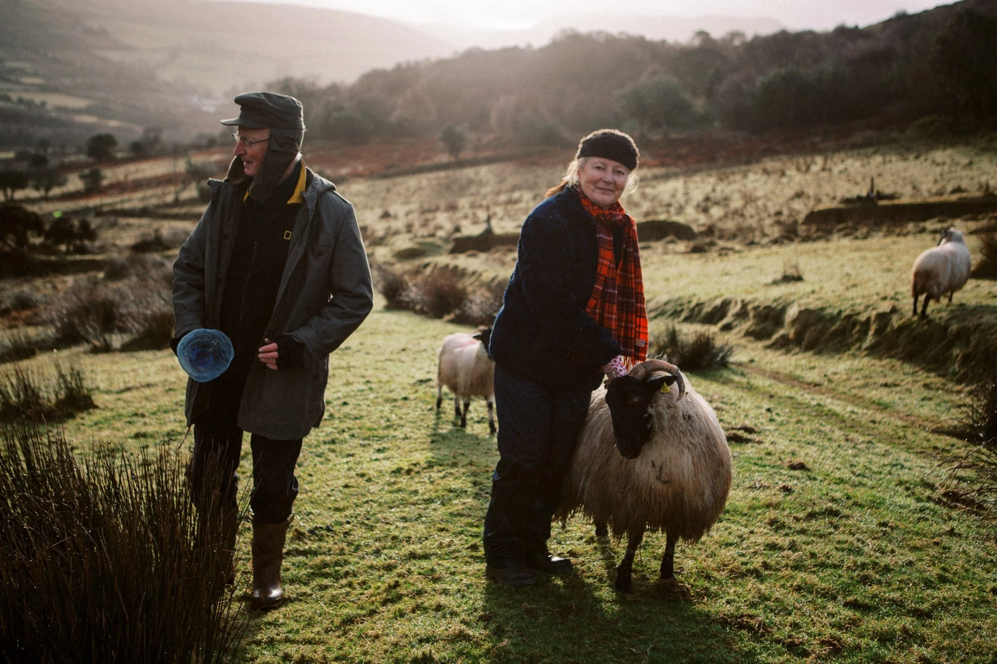 Ireland Sheep Farm-12.jpg