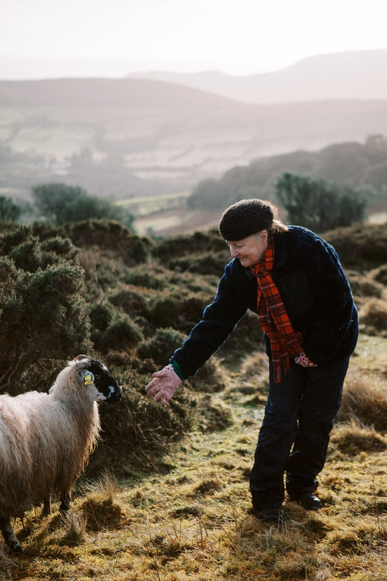 Ireland Sheep Farm-19.jpg