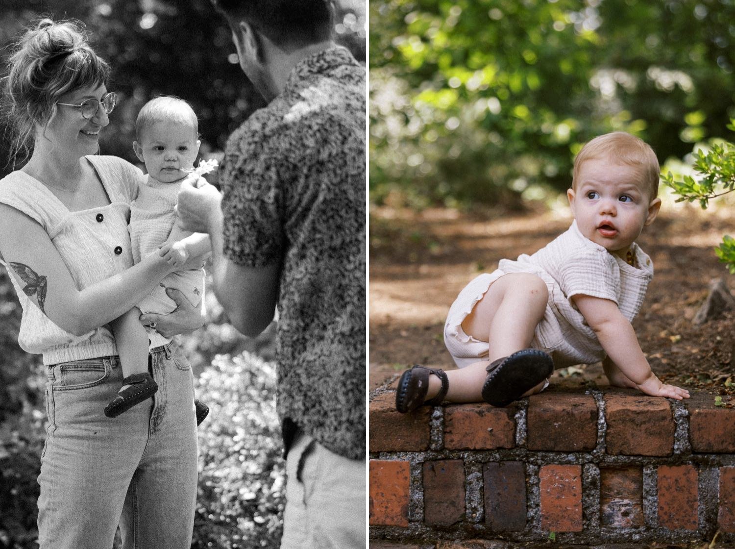 09_Portland Family Photographer-7384_Portland Family Photographer-7292_baby girl sits on brick step surrounded by greenery.jpg