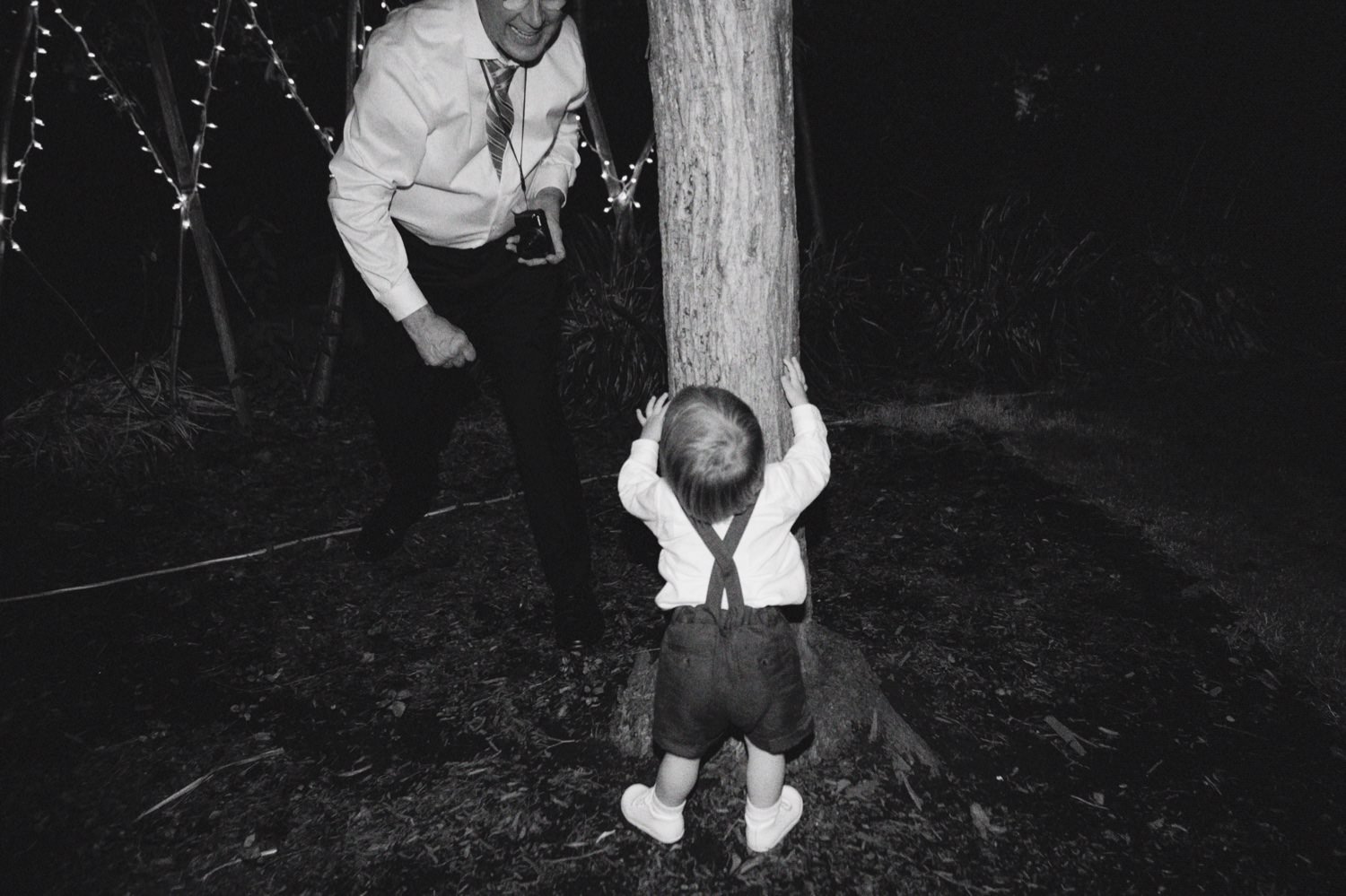  little boy hugs tree while grandpa with digital camera chases him 