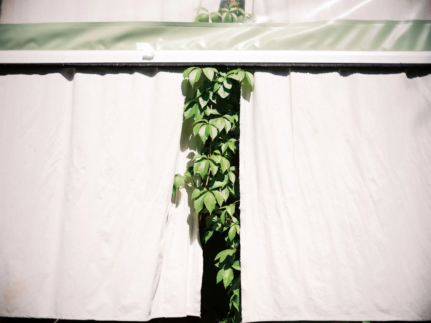 Han Oak Portland, Oregon wedding-86.jpg