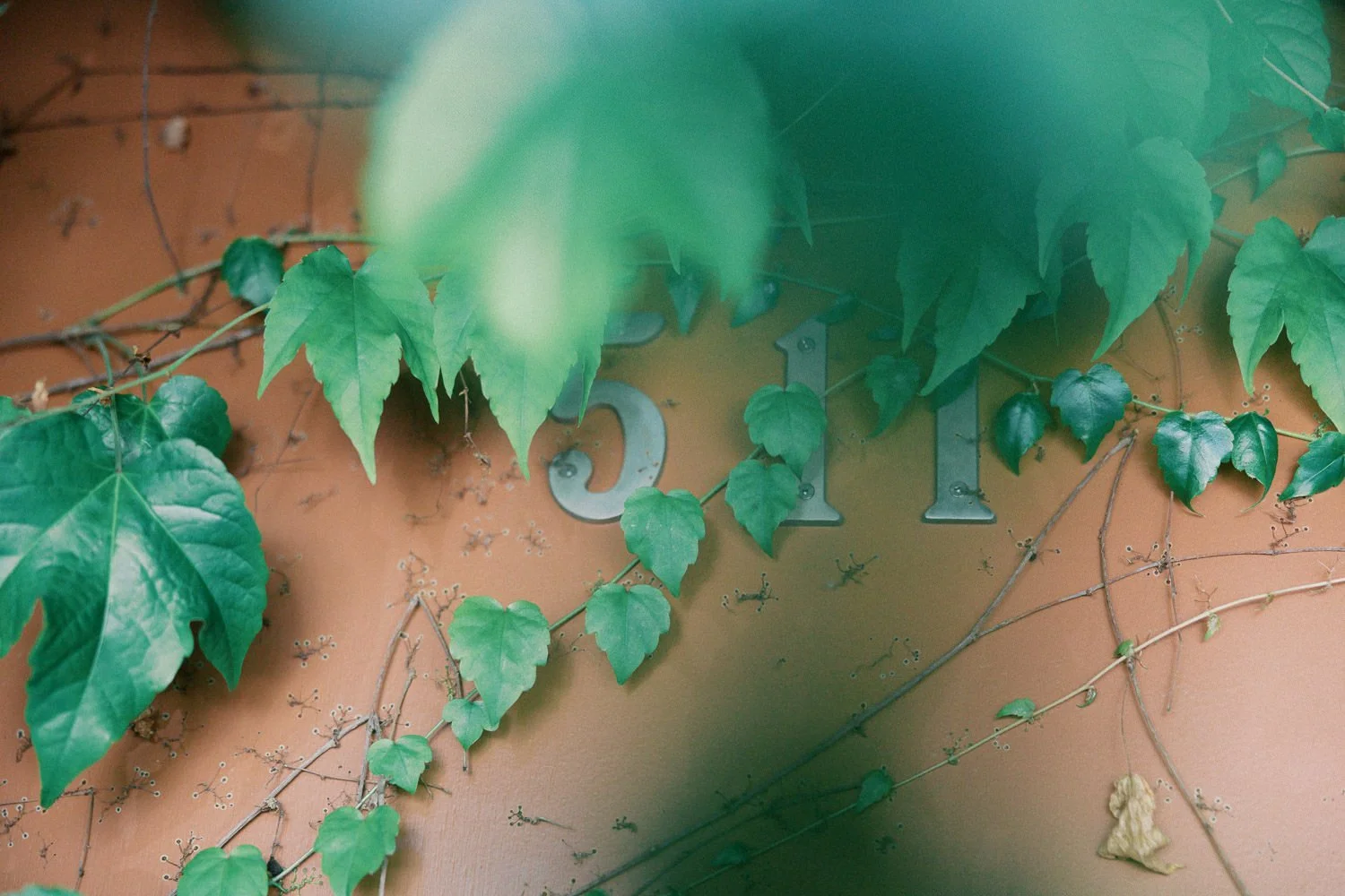 Han Oak Portland, Oregon wedding-145.jpg