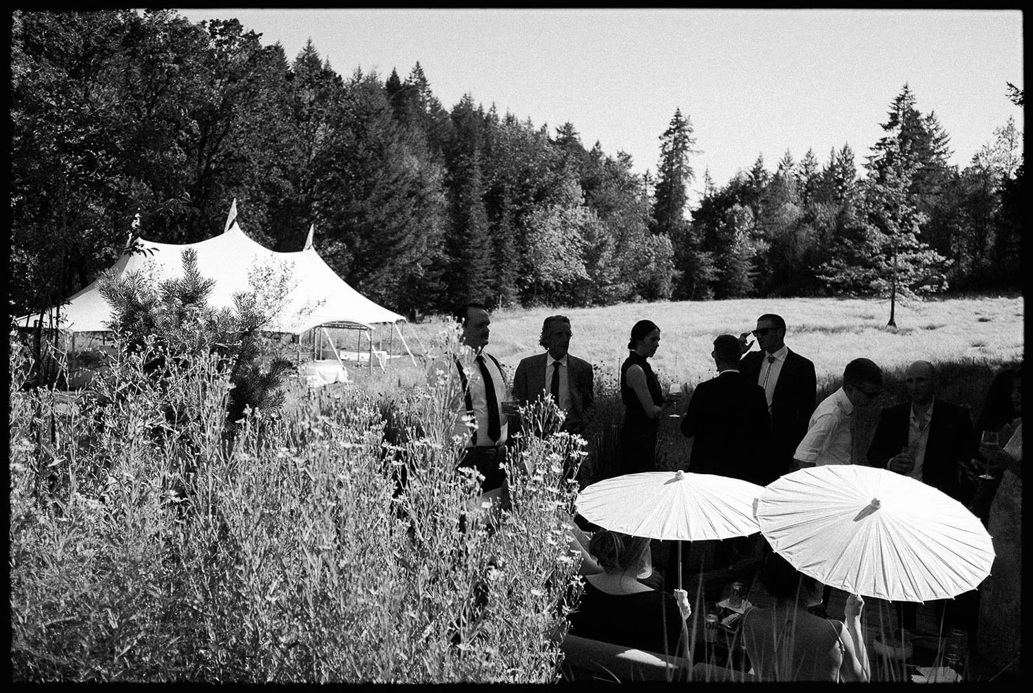 The Carly Estate Wedding-42.jpg