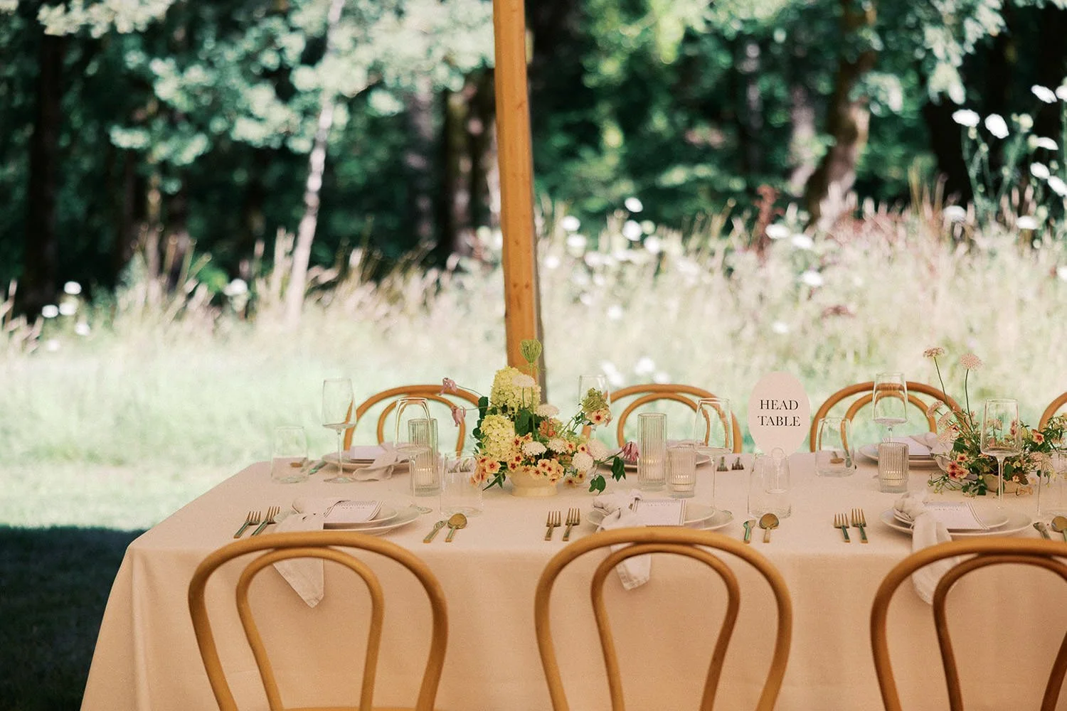 The Carly Estate Wedding-54.jpg