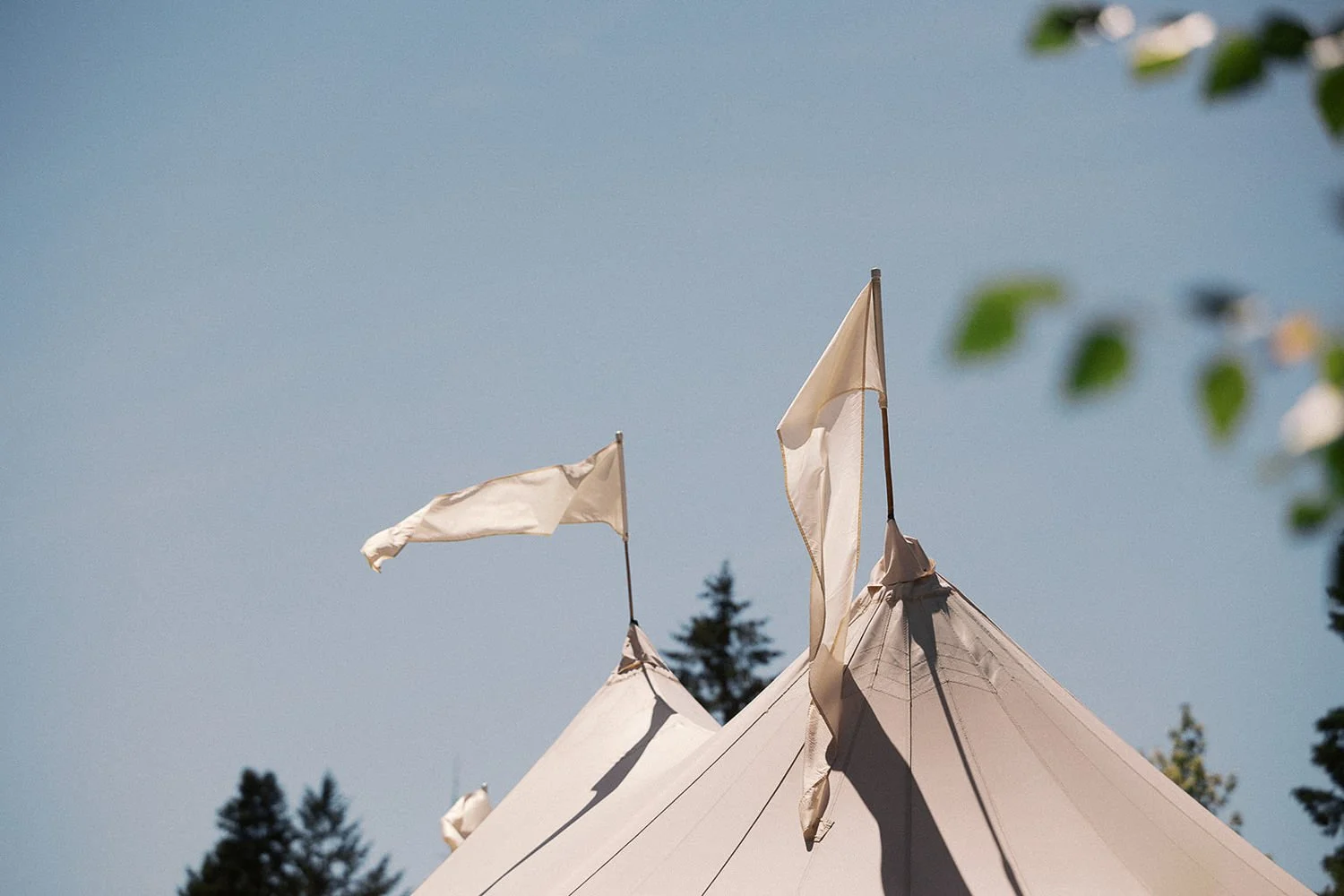 The Carly Estate Wedding-68.jpg
