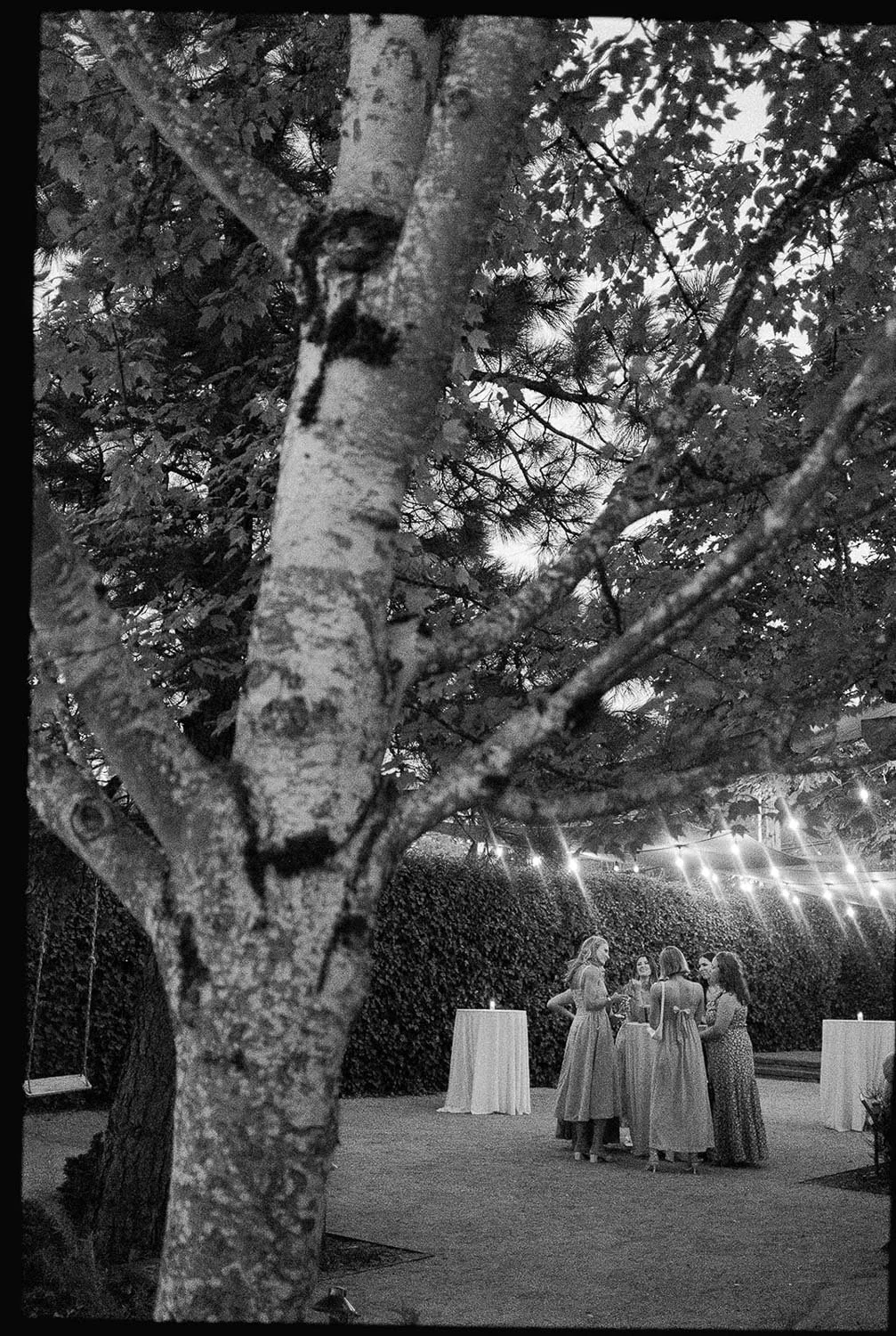 The Carly Estate Wedding-93.jpg
